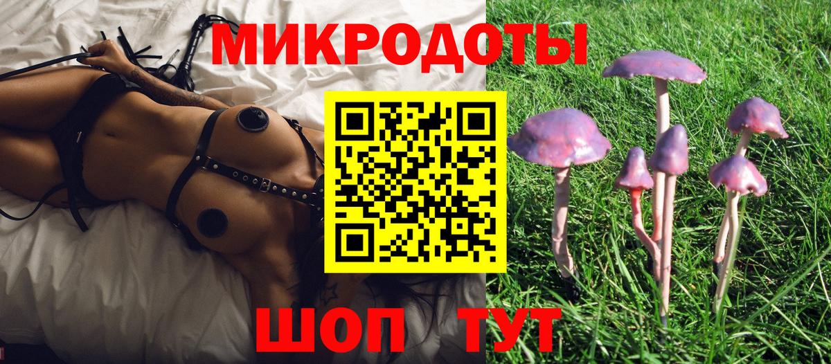 Нягань  Псилоцибиновые грибы GOLDEN TEACHER  Вход с VPN  Галлюциногенные грибы Magic Shrooms 