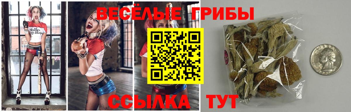 Галлюциногенные грибы Cubensis Нягань