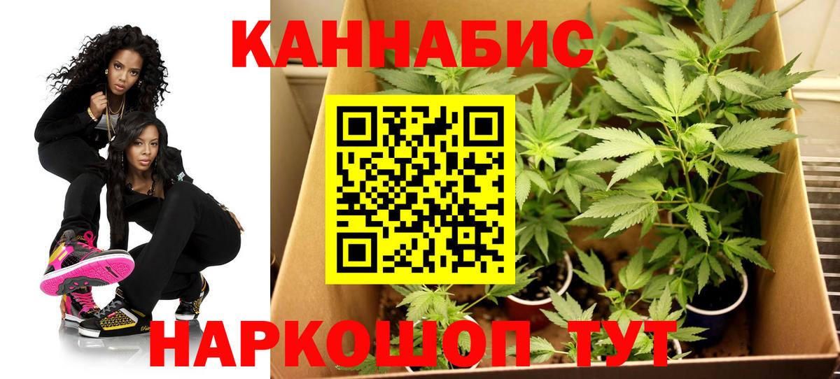Нягань  Шишки марихуана SATIVA & INDICA  Вход с VPN  Бошки Шишки тримм  Шишки марихуана White Widow 